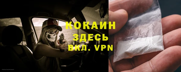 соль ск Алексеевка