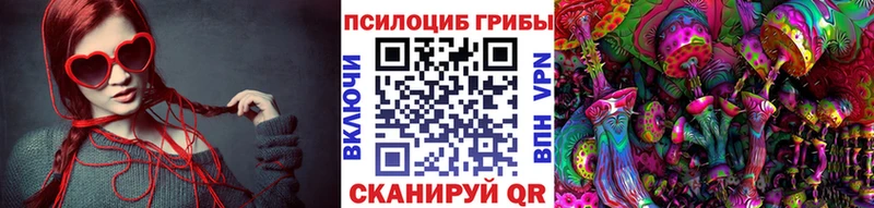 Псилоцибиновые грибы прущие грибы  Карачев 